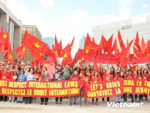 Meeting de la diaspora vietnamienne en Belgique contre les agissements chinois - ảnh 1